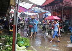 Lý do khiến giá rau xanh Hà Nội tăng bất thường