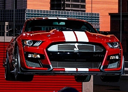 Mustang Shelby GT500 - chiếc Ford thể thao 'cơ bắp' nhất