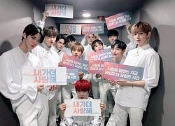 Ngày này 2 năm trước Wanna One đã debut: Có ai ngờ 'center quốc dân' sẽ trở thành người chật vật nhất?