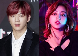 Nghi vấn Kang Daniel và Jihyo sống chung, "center quốc dân" bị ném đá vì để bạn gái tái chế chai Soju khi đến nhà chơi