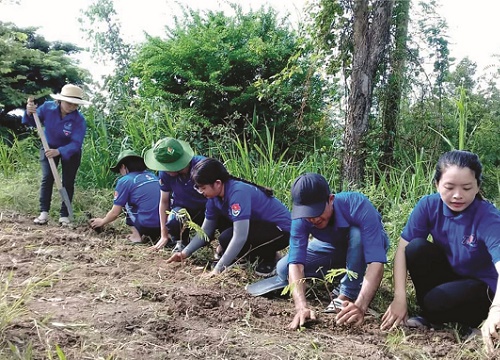 Những dấu chân tình nguyện