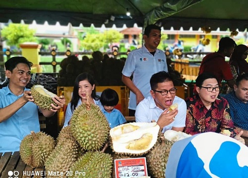 Sầu riêng "năm ngón" mới được lai giống tại Malaysia bỗng "gây sốt" vì lý do này