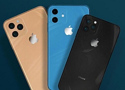 Sếp nhà bán lẻ làm lộ ngày bán iPhone 11