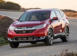 Honda thừa nhận lỗi động cơ khiến xe CR-V chết máy đột ngột tại Mỹ