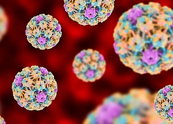 7 điều ít ai biết rõ về HPV, căn bệnh tình dục phổ biến nhất hiện nay