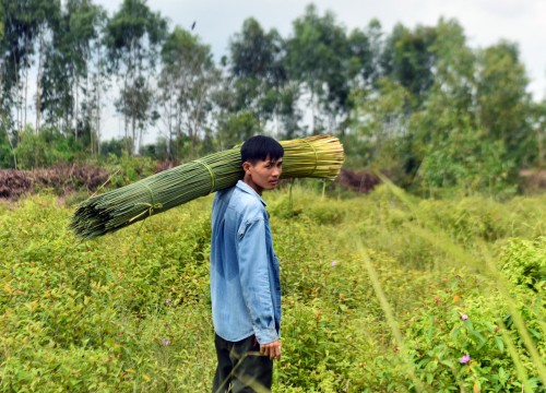 8X Sơn La và giấc mơ đưa ống hút tre núi rừng Tây Bắc ra thế giới