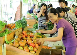 Chiến tranh thương mại Mỹ - Trung: Nông sản Việt dễ bị mượn tên?