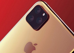 Digitmes: Đến Apple cũng thấp thỏm lo âu về doanh số iPhone 2019 do máy không có nhiều điểm đột phá