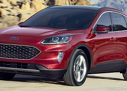 Ford Escape 2020 sắp tái xuất, cạnh tranh Honda CR-V, Mazda CX-5