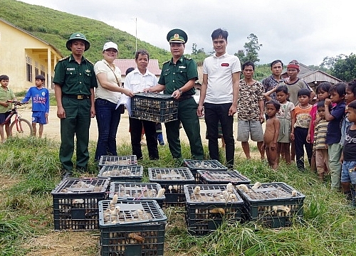 Huyện A Lưới (Thừa Thiên - Huế) tặng hơn 600 cây, con giống cho địa phương bạn Lào