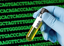 Mỹ: Xét nghiệm DNA, cảnh sát kinh ngạc nhận ra mối quan hệ với người đồng nghiệp