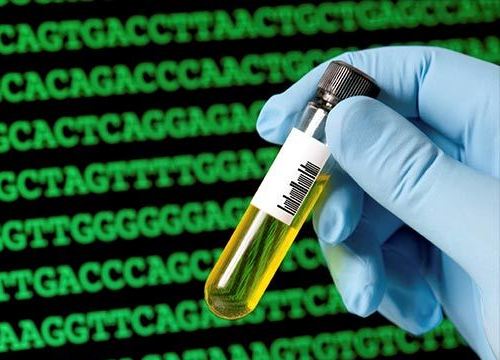 Mỹ: Xét nghiệm DNA, cảnh sát kinh ngạc nhận ra mối quan hệ với người đồng nghiệp