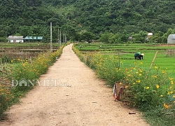 Ngưỡng mộ dân xã nghèo Bao La góp 300 triệu, hiến đất làm NTM