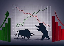 TA focus (phiên 9/8): Gia tăng tỷ trọng cổ phiếu trong các nhịp rung lắc