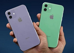 Vì sao Apple chỉ nên ra một chiếc iPhone trong năm 2019?