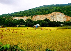 Ai về An Giang, nhớ núi Cô Tô