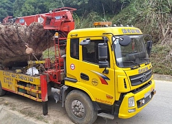 Bắc Kạn : Sai phạm quản lý rừng, Chủ nhiệm UBKT huyện bị khởi tố