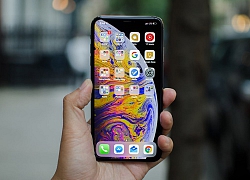 Đại chiến Samsung Galaxy Note 10 Plus và iPhone XS Max: Mèo nào cắn mỉu nào?