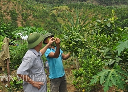 Đại gia chân đất ở Yên Bái với trang trại 300ha, doanh thu 30 tỷ/năm