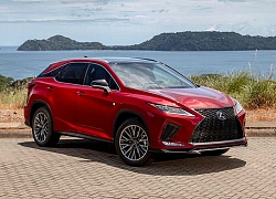 Lộ diện hình ảnh Lexus RX 350 2020