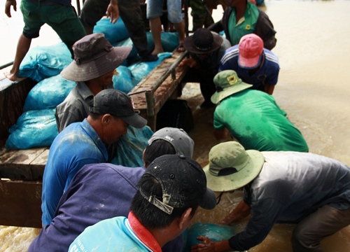 Nước sông Mẹ Krông Ana dâng cao, dân trắng đêm đắp đê cứu lúa