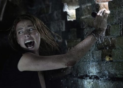 Review 'Crawl': Cuộc chiến sống còn với cá sấu, ăn đứt nhiều phim kinh dị