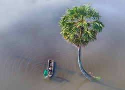 Thơ mộng mùa nước nổi