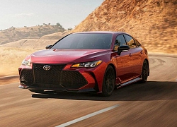 Toyota Avalon TRD 2020 có giá từ 1 tỷ VNĐ