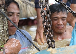 Vỡ đê bao Quảng Điền, hàng trăm người dân lại trầm mình cứu lúa