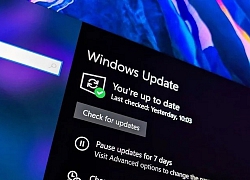 Bản cập nhật mới của Windows 10 khiến máy tính một số người bị lỗi