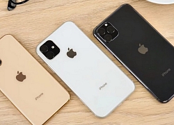 Bất chấp dự báo ảm đạm, Apple được dự đoán bán ra 80 triệu iPhone 11 trong năm nay