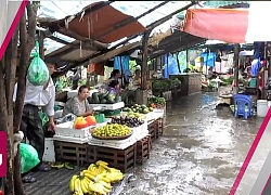 Cách đảm bảo an toàn thực phẩm mùa mưa lũ