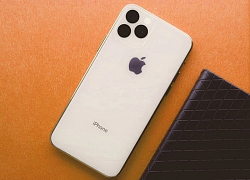 Hãng sản xuất phụ kiện tiết lộ tên gọi của bộ ba iPhone năm nay là "iPhone 11", "iPhone 11 Pro" và "iPhone 11 Pro Max"