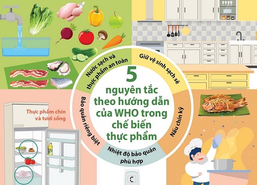 5 nguyên tắc theo hướng dẫn của WHO trong chế biến thực phẩm