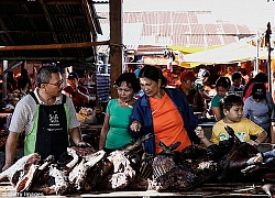 Những món ăn đáng sợ bán đầy ở chợ Indonesia khiến thực khách hết hồn