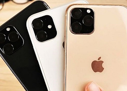 Phần mềm của Apple tiết lộ ngày ra mắt iPhone 11