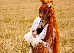 Phong cách hoang dã với kiểu Cosplay giả Cáo giữa thiên nhiên