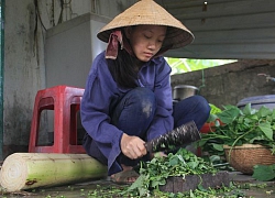 Quảng Trị: Khát khao trở thành cô giáo, nữ sinh nhà nghèo nuôi gà, bán cà phê gom góp tiền công để nhập học