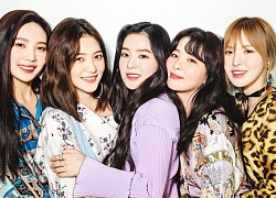 Sốc với trải nghiệm kinh hoàng của fangirl khi đi concert: Bị fan nam Red Velvet &#8220;quấy rối&#8221; ngay giữa nhạc hội