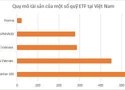 VFM huy động vốn 2 quỹ ETF cho cổ phiếu gần hết room và ngành tài chính