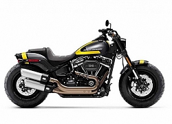 Chiêm ngưỡng bộ sưu tập Harley-Davidson sơn tem đấu "hàng độc", giá rẻ nhất từ 39,5 triệu