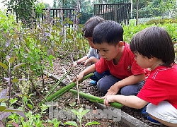 Dạy kỹ năng cho trẻ: Tự phát, không kiểm soát