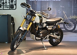 Những mẫu xe Scrambler chính hãng đáng quan tâm tại Việt Nam