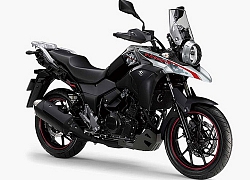 Suzuki V-Strom 250 2020 cải tiến ngoại hình linh hoạt hơn