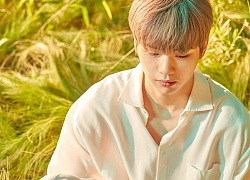 Kang Daniel tiết lộ thành viên WANNA ONE thường liên lạc nhất: Fan mừng vì tình cảm vẫn vẹn nguyên