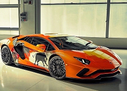 Lamborghini giao siêu xe đắt giá Aventador S cho thanh niên 19 tuổi "vẽ vời"