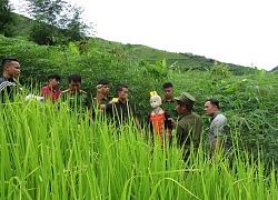 Nghi can hạ sát người phụ nữ độc thân vùng biên giới sa lưới