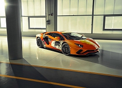 Siêu xe đỉnh Lamborghini được vẽ vỏ cực đẹp