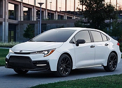 Toyota Corolla 2020 có thêm phiên bản đặc biệt cho giới trẻ