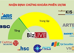 Nhận định chứng khoán 19/8: Thị trường đã ổn định hơn, nhà đầu tư có thể mua thăm dò